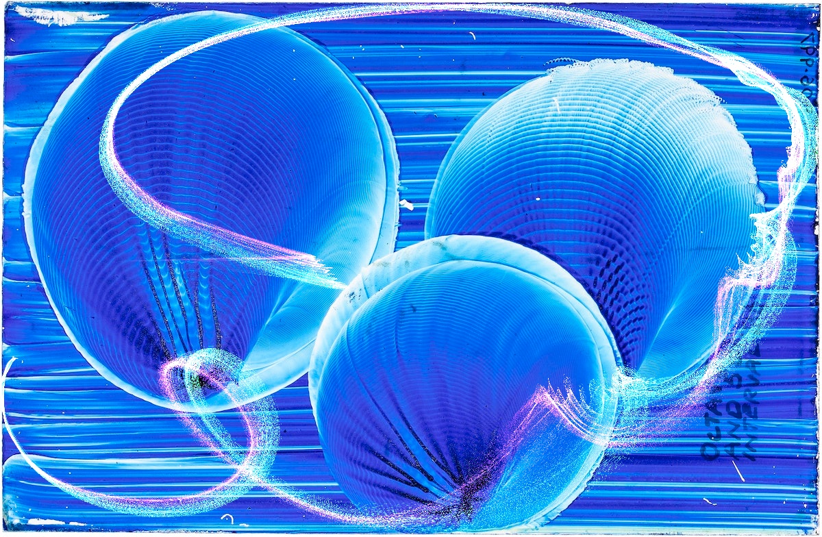 Two Poems from The Exquisite Cento Project – The Collidescope