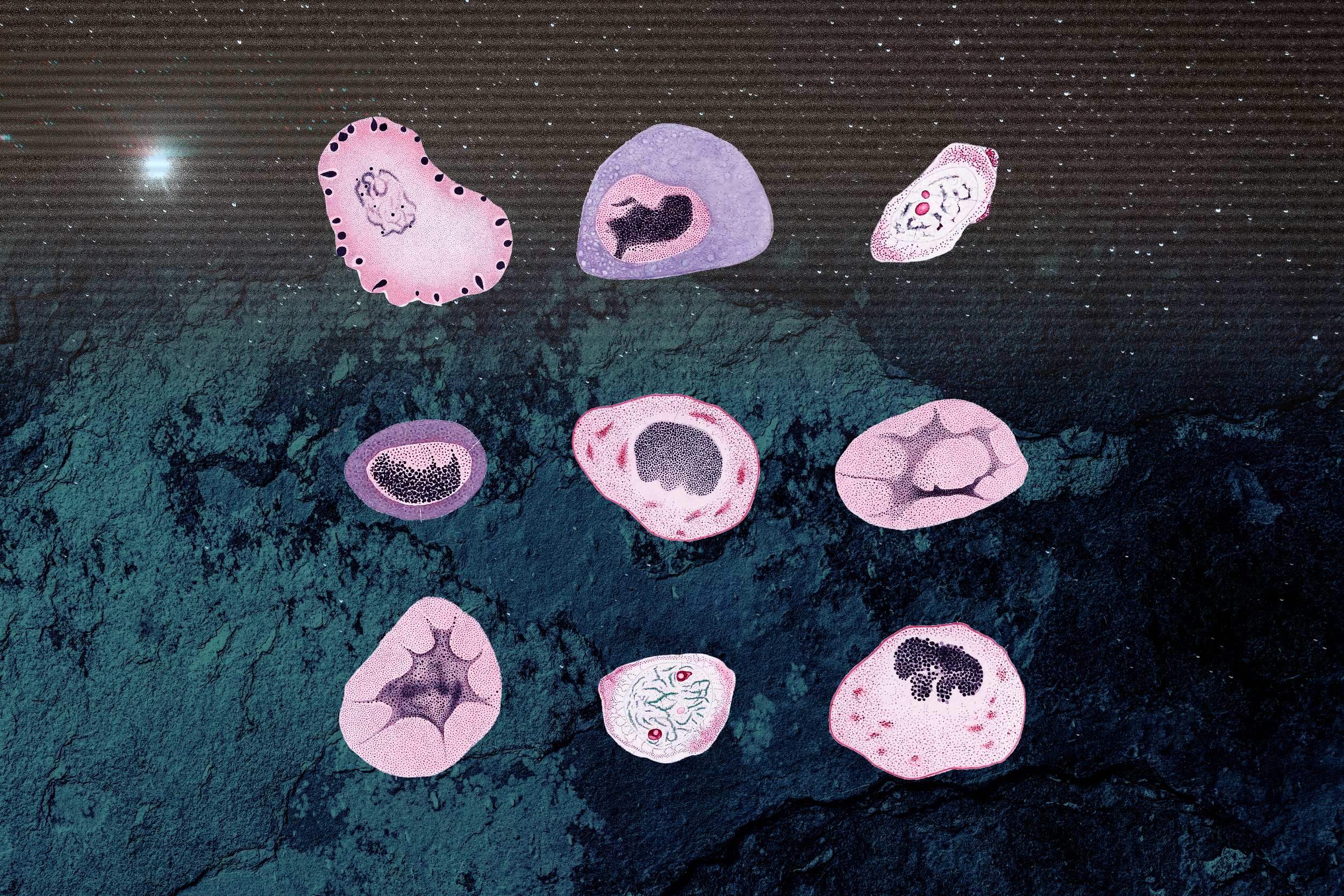 The Imperfect Names: An Interview with Alyssa Quinn – The Collidescope